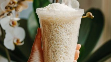 O arroz faz maravilhas nas orquídeas, especialmente se elas não estão florescendo. Veja o porquê e como usar