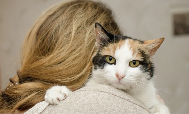 10 RAZÕES PELAS QUAIS SER UM “LOUCO POR GATOS” É UMA COISA 10 RAZÕES PELAS QUAIS SER UM “LOUCO POR GATOS” É UMA COISA
