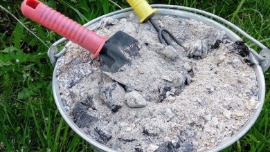 10 usos brilhantes para cinzas de madeira na casa e no jardim