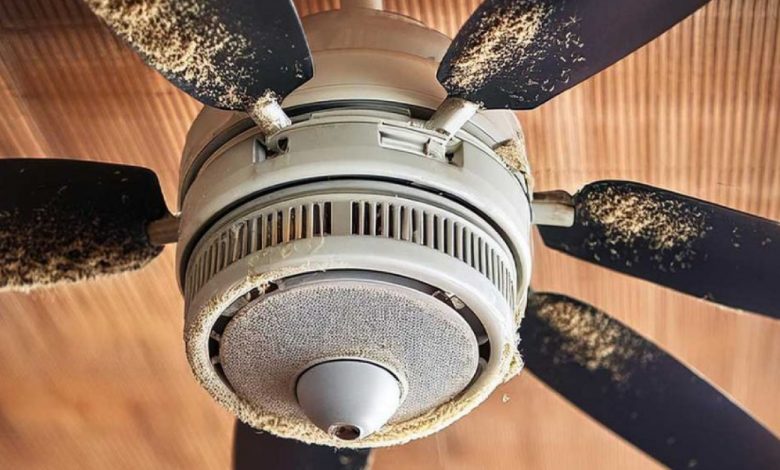 Minha avó me ensinou esse truque para limpar ventiladores de teto empoeirados sem esforço. Veja como funciona Minha avó me ensinou esse truque para limpar ventiladores de teto empoeirados sem esforço. Veja como funciona