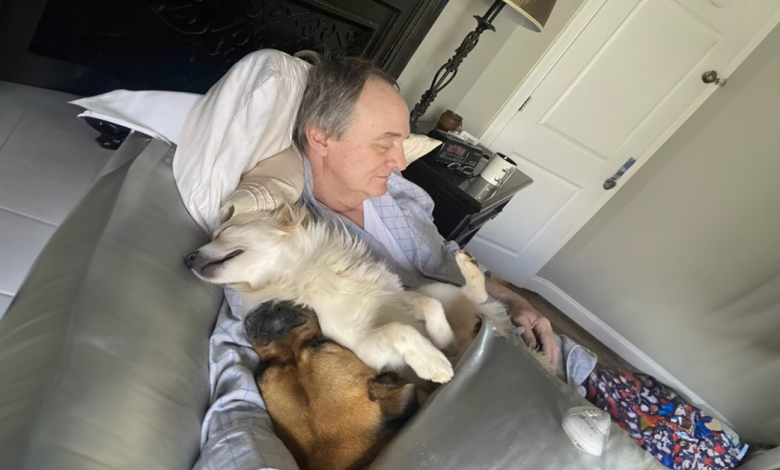 Mulher Surpreende o Pai Cochilando com Todos os Cachorros da Vizinhança Mulher Surpreende o Pai Cochilando com Todos os Cachorros da Vizinhança