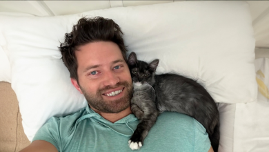 Ninguém Quer Brincar com Esta Gatinha, Então Seu Pai Encontrou uma Solução
