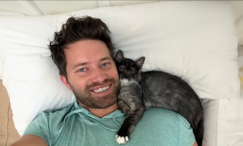 Ninguém Quer Brincar com Esta Gatinha, Então Seu Pai Encontrou uma Solução Ninguém Quer Brincar com Esta Gatinha, Então Seu Pai Encontrou uma Solução