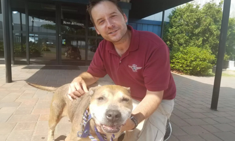 Homem compra avião para poder levar cães sem lar para a segurança Homem compra avião para poder levar cães sem lar para a segurança