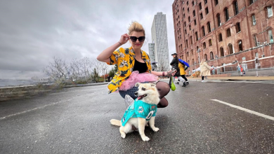 Dona Presenteia Seu Cachorro com um Jantar de 9 Pratos no ‘Eleven Madison Bark’ para o 11º Aniversário