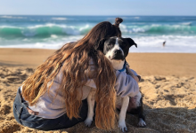 A Amizade Entre Dois Pit Bulls e um Beija-Flor Selvagem Derrete Corações na Internet