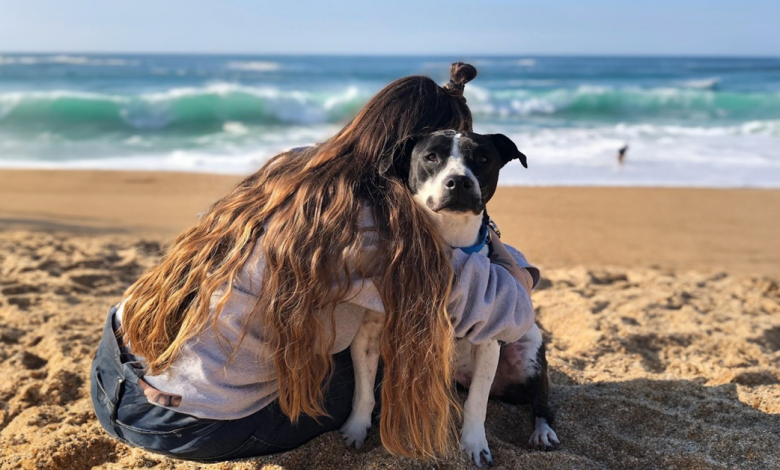 A Amizade Entre Dois Pit Bulls e um Beija-Flor Selvagem Derrete Corações na Internet A Amizade Entre Dois Pit Bulls e um Beija-Flor Selvagem Derrete Corações na Internet