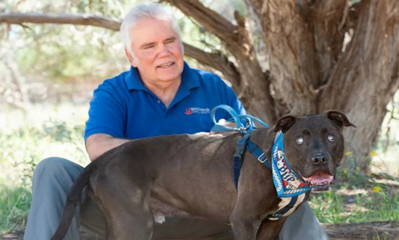 Cão Cego Protege Voluntário de Resgate de um Encontro com Cascavel que ‘Não Teria Terminado Bem’ Cão Cego Protege Voluntário de Resgate de um Encontro com Cascavel que ‘Não Teria Terminado Bem’