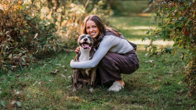 A Cão de Resgate Mais Fofa do Mundo em 2024 é uma ‘Carinhosa’ Pit Bull que ‘Nunca Conheceu um Estranho’