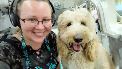 Groomer de Animais Percebe de Repente Que Recebeu Uma Pegadinha de Um Cachorro