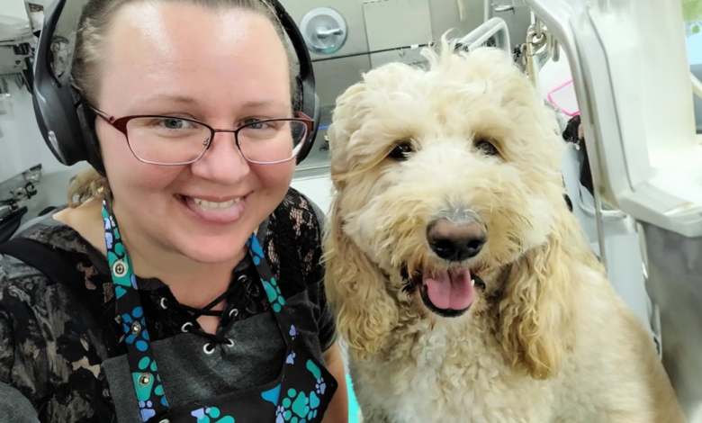 Groomer de Animais Percebe de Repente Que Recebeu Uma Pegadinha de Um Cachorro Groomer de Animais Percebe de Repente Que Recebeu Uma Pegadinha de Um Cachorro