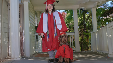 Cão de Serviço Celebra a Formatura do Ensino Médio Com Uma Toca e Beca Personalizadas
