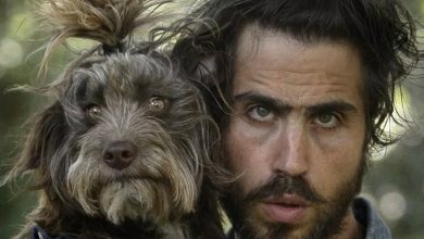 Não só na aparência, mas também na personalidade: por que os cães são parecidos com seus donos?