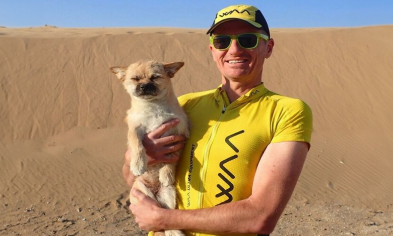 Cachorro de rua corre 130 quilômetros ao lado de um atleta no deserto chinês e encontra um novo lar Cachorro de rua corre 130 quilômetros ao lado de um atleta no deserto chinês e encontra um novo lar