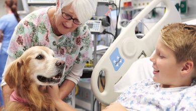 Como o golden retriever Basti transformou os dias de hospital de um menino em momentos felizes