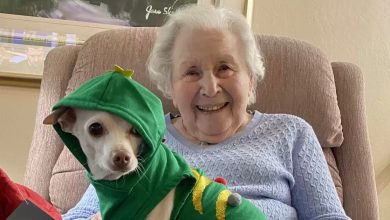 Mulher de 100 anos encontra seu par perfeito em um cão idoso que ninguém queria