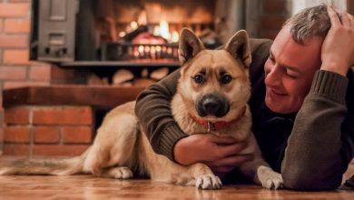 Na vida, não importa quanto dinheiro ou realizações você tenha. Se você tem um cachorro, você já é rico