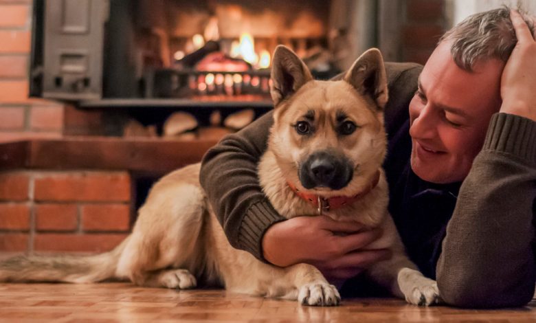 Na vida, não importa quanto dinheiro ou realizações você tenha. Se você tem um cachorro, você já é rico Na vida, não importa quanto dinheiro ou realizações você tenha. Se você tem um cachorro, você já é rico