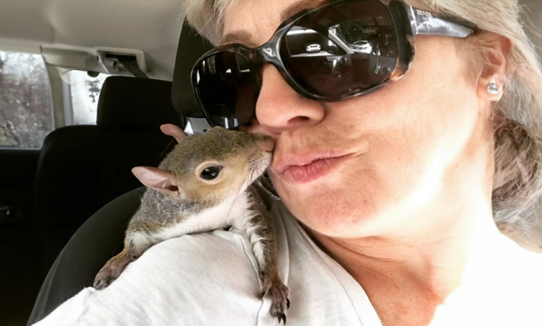 Uma Esquilo Resgatada Adora Viajar e Segue Sua Amiga Humana a Qualquer Lugar Uma Esquilo Resgatada Adora Viajar e Segue Sua Amiga Humana a Qualquer Lugar
