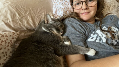Drew Barrymore não consegue imaginar a vida sem seus 9 animais: “Um amor tão profundo”