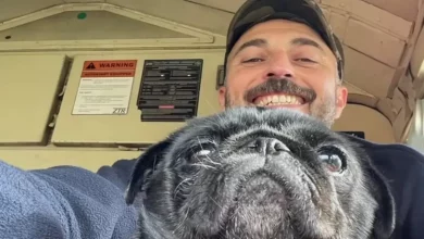 Maquinista Para Trem para Resgatar Pug Assustado Antes de um ‘Grande’ Reencontro Emocional com os Donos