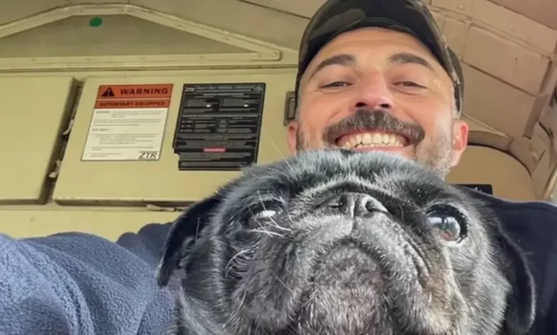 Maquinista Para Trem para Resgatar Pug Assustado Antes de um ‘Grande’ Reencontro Emocional com os Donos Maquinista Para Trem para Resgatar Pug Assustado Antes de um ‘Grande’ Reencontro Emocional com os Donos