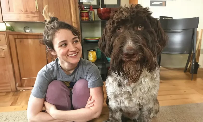 “Quase Tive um Infarto”: Goldendoodle Come um Envelope com .000 em Dinheiro “Quase Tive um Infarto”: Goldendoodle Come um Envelope com .000 em Dinheiro