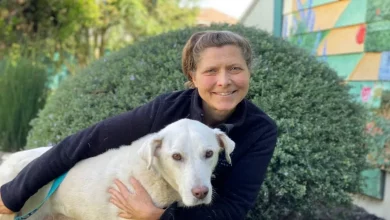 Este Heroico Amante de Cães Mantém Idosos e Seus Animais Juntos Com ‘Tranquilidade’
