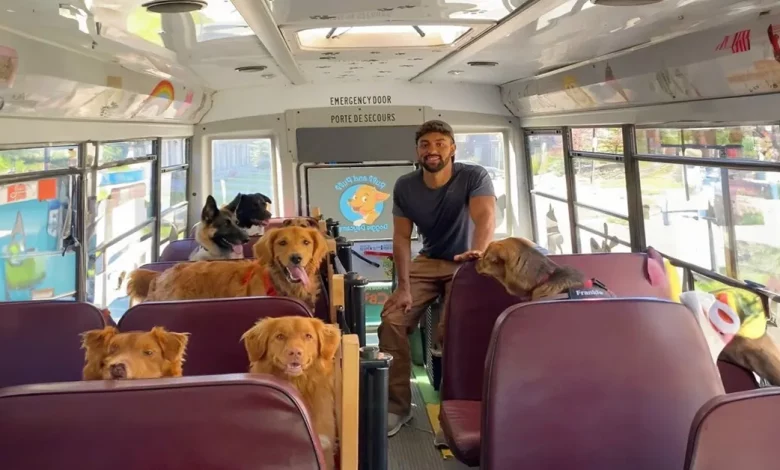 Homem transforma ônibus escolar em paraíso de aventuras diárias para cães Homem transforma ônibus escolar em paraíso de aventuras diárias para cães
