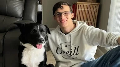 Um Adolescente Estava Tendo um AVC, mas Seu Cachorro Ajudou a Salvá-lo, Explica o Médico