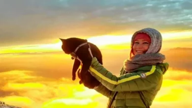 Jovem Mulher Faz uma Bolsa Especial Para Seu Gato Para Levá-lo em Viagens Pela Itália – Seu Passatempo Favorito