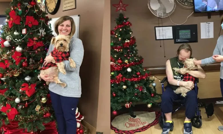 Enfermeira Resgata o Cachorro de Seu Paciente de um Abrigo Após Receber uma Ligação Comovente Enfermeira Resgata o Cachorro de Seu Paciente de um Abrigo Após Receber uma Ligação Comovente