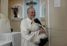Um padre amoroso transforma os serviços da igreja em feiras de adoção para cães de rua (21 novas fotos)
