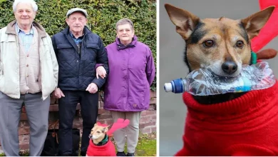 Homem de 80 Anos Se Reencontra com Irmãos Perdidos Graças ao Seu Cachorro Aparecido na TV