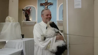 Um padre amoroso transforma os serviços da igreja em feiras de adoção para cães de rua (21 novas fotos)
