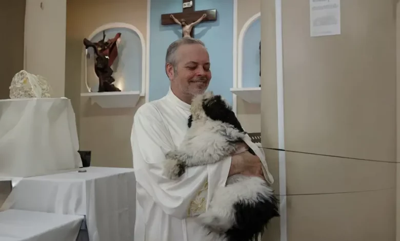 Um padre amoroso transforma os serviços da igreja em feiras de adoção para cães de rua (21 novas fotos) Um padre amoroso transforma os serviços da igreja em feiras de adoção para cães de rua (21 novas fotos)