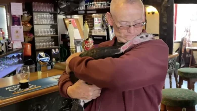 Homem Leva Seu Peru Para Todos os Lugares: Companheiros Inseparáveis Até No Pub e Dormindo Em Casa