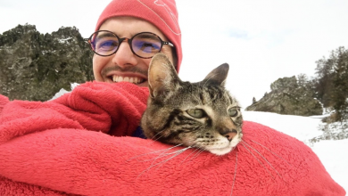 Uma gata adora passear, então seu dono fez um capacete para ela, e agora ela é uma verdadeira motociclista