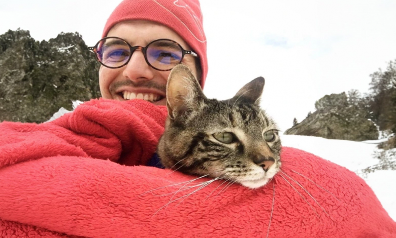 Uma gata adora passear, então seu dono fez um capacete para ela, e agora ela é uma verdadeira motociclista Uma gata adora passear, então seu dono fez um capacete para ela, e agora ela é uma verdadeira motociclista