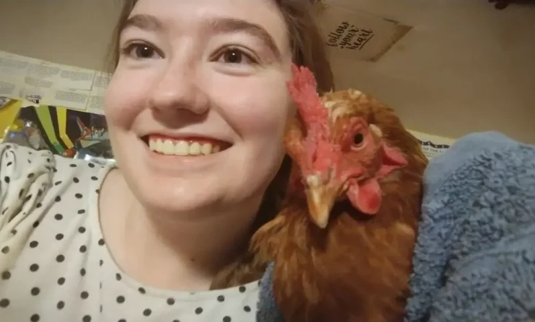 Estou tão feliz por ter crescido com galinhas, aqui está minha história Estou tão feliz por ter crescido com galinhas, aqui está minha história