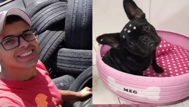 Homem Transforma Pneus Velhos em Belas Camas Aconchegantes para 6.000 Cães e Gatos de Rua no Brasil