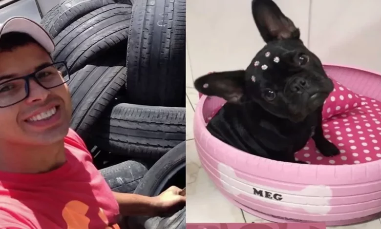 Homem Transforma Pneus Velhos em Belas Camas Aconchegantes para 6.000 Cães e Gatos de Rua no Brasil Homem Transforma Pneus Velhos em Belas Camas Aconchegantes para 6.000 Cães e Gatos de Rua no Brasil