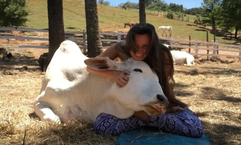 Uma Mulher Acalma Animais Resgatados Cantando para Eles, e Eles Derretem em Seus Braços Uma Mulher Acalma Animais Resgatados Cantando para Eles, e Eles Derretem em Seus Braços