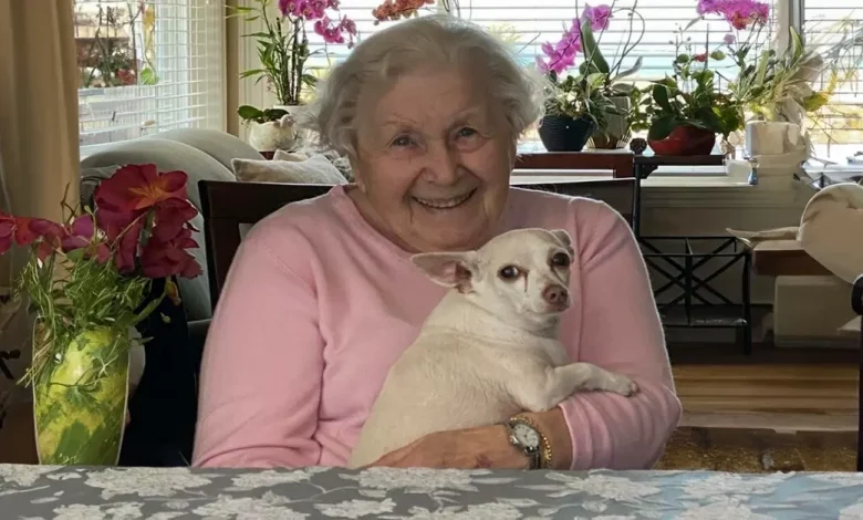“Gucci trouxe alegria para a casa”: Cachorro indesejado de 11 anos foi adotado por uma mulher de 100 anos “Gucci trouxe alegria para a casa”: Cachorro indesejado de 11 anos foi adotado por uma mulher de 100 anos