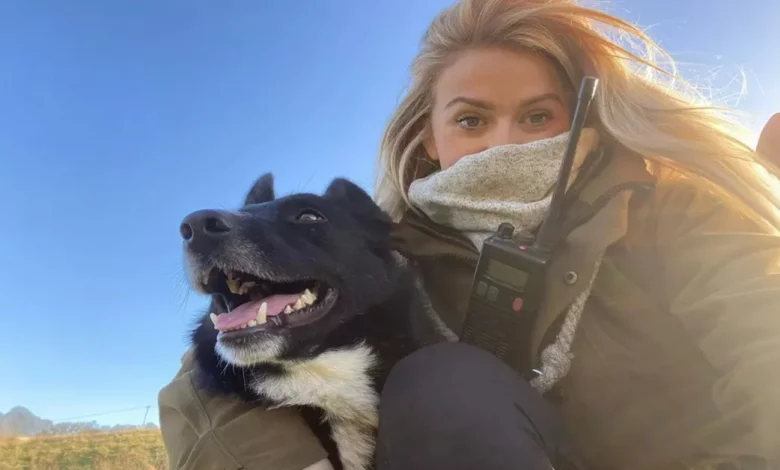 Cão Pastor Continua a Reunir Animais Como um Chefe Apesar de Ter Perdido a Perna Após Acidente Cão Pastor Continua a Reunir Animais Como um Chefe Apesar de Ter Perdido a Perna Após Acidente