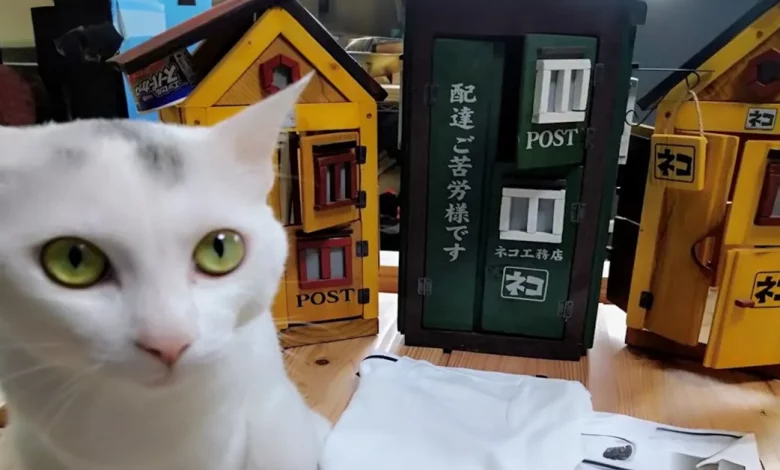 Istambul Melhora a Vida de Milhares de Gatos de Rua com Elaboradas Casas para Gatos ao Ar Livre Istambul Melhora a Vida de Milhares de Gatos de Rua com Elaboradas Casas para Gatos ao Ar Livre