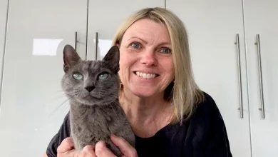 Gato Desaparecido por Cinco Semanas é Encontrado Preso Sob Assoalhos de Vizinho Após Ouvir Miados