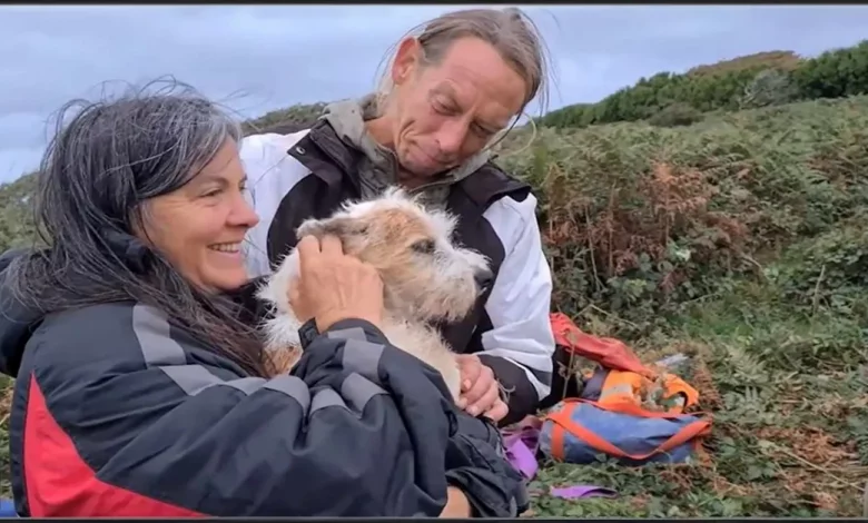 Assista ao Momento em que um Cachorro é Resgatado por Voluntários Após Ficar 26 Horas Preso em um Antigo Poço de Mina Assista ao Momento em que um Cachorro é Resgatado por Voluntários Após Ficar 26 Horas Preso em um Antigo Poço de Mina