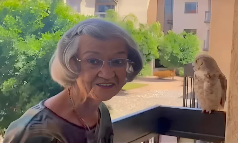 Coruja Visita Avó de 98 Anos Toda Semana–E Família Acredita que é um Sinal do Falecido Marido dela Coruja Visita Avó de 98 Anos Toda Semana–E Família Acredita que é um Sinal do Falecido Marido dela