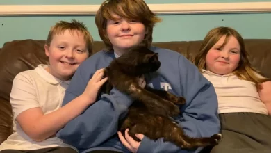 Mãe Encontra o Gato Após 8 Meses Quando Reconhece Seu Miado Durante uma Chamada Telefônica